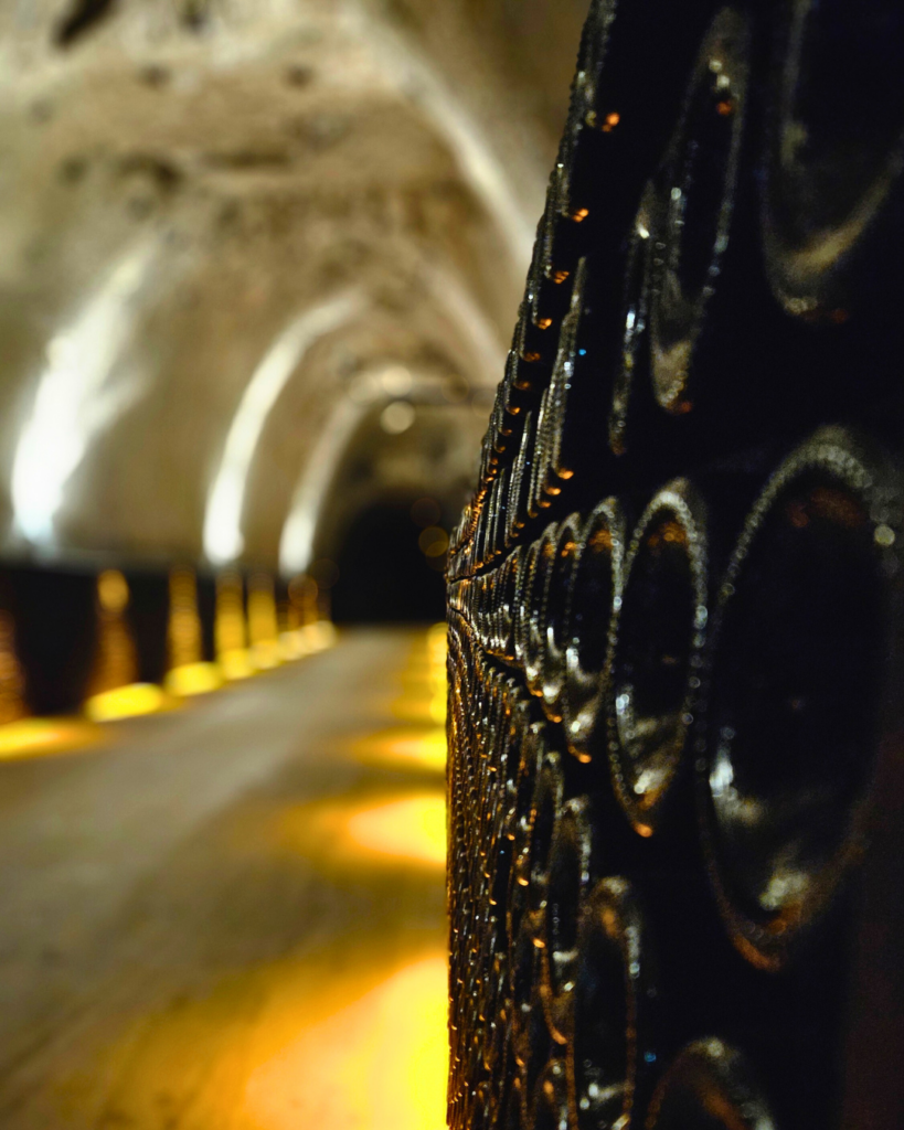 Joseph perrier kelder2